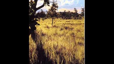 FG  Chaparralito Llanero - El Carrao de Palmarito