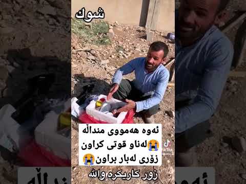 ئەوە هەمووی منداڵە لەناو قوتی کراونزۆری لەبار براون