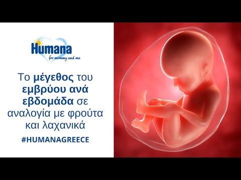 Βίντεο: Πώς να προσδιορίσετε το μέγεθος του εμβρύου