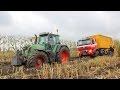 Tatra Phoenix 460 - 8x8 | Stuck in the mud | Trouble