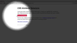 CSS Foundations : Basic Attribute Selectors