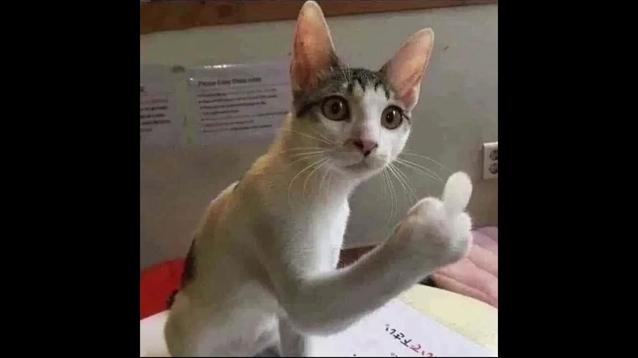 No play No game YouTube