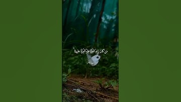 مَنْ كَانَ يُرِيدُ الْعِزَّةَ فَلِلَّهِ الْعِزَّةُ || سورة فاطر || عبدالباسط عبدالصمد