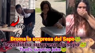 Broma la sorpresa del sapo 🐸 / Pegadinha surpresa do sapo 🐸 / Toad's surprise joke🐸