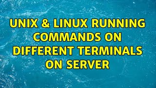 Unix & Linux: Running commands on different terminals on server
