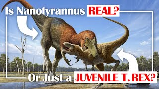 Is Nanotyrannus Real, or Just a Juvenile T. rex?
