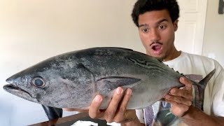 Filleting and Eating Huge Tuna【Make Super Delicious Japanese Meal】【Japanese sub】