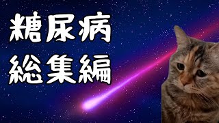 糖尿病で亡くなるまでの実話記録 総集編【猫ミーム】【落下星の部屋】