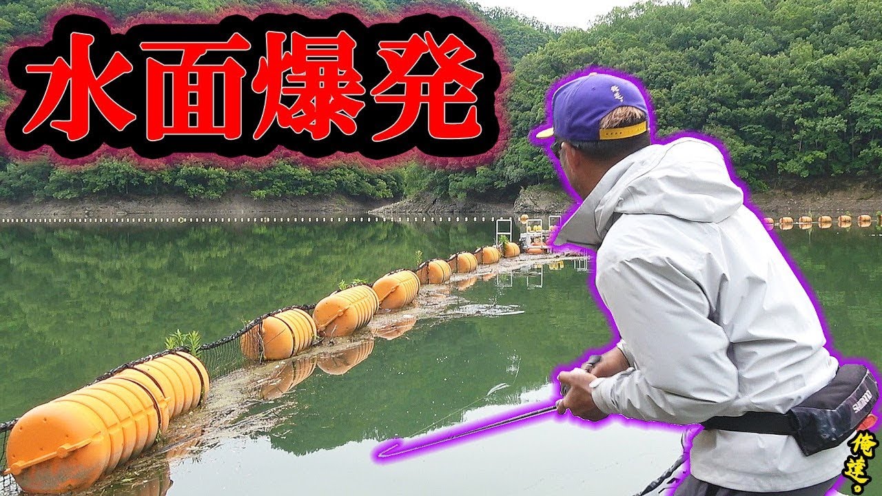 Whoa! They're hitting the orange buoy like crazy [Pencil Bait vs