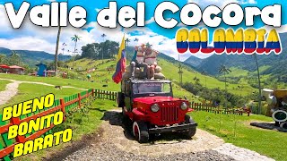 EJE CAFETERO Valle del Cocora Barato y sin tour COLOMBIA