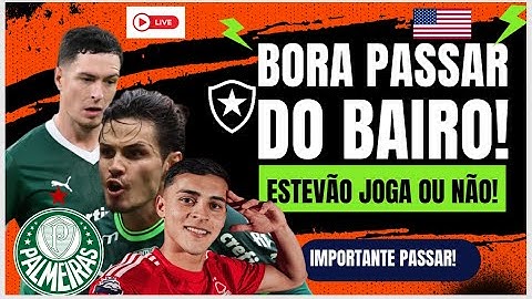 PALMEIRAS  NOTICIAS , MUNDIAL E POSSIVÉL CONTRATAÇÃO!