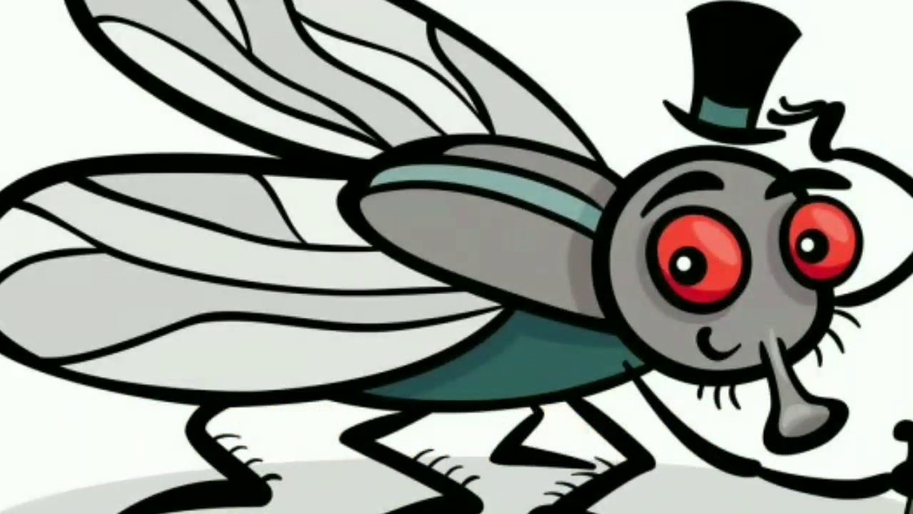 Муха из мультиков картинки