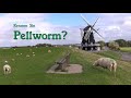 Pellworm, eine kleine nordfriesische Insel im Wattenmeer (2020).