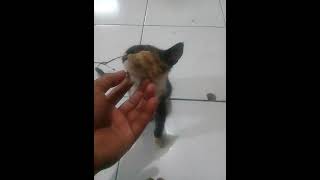 Download Lagu 26 Juli 2023 MP3