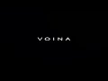 VOINA |  ОБЗОР ДЕБЮТНОГО АЛЬБОМА