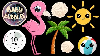Baby Sensory Video FLAMINGO BEACH PARTY. High Contrast Video for Babies. #babysensory #babylearning