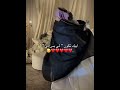 ابيك تكون لي بس الي استوريات انستا حب لايك متابعه اكسبلور الشعرالشعبي اغاني عراقية شعراء وذواقي