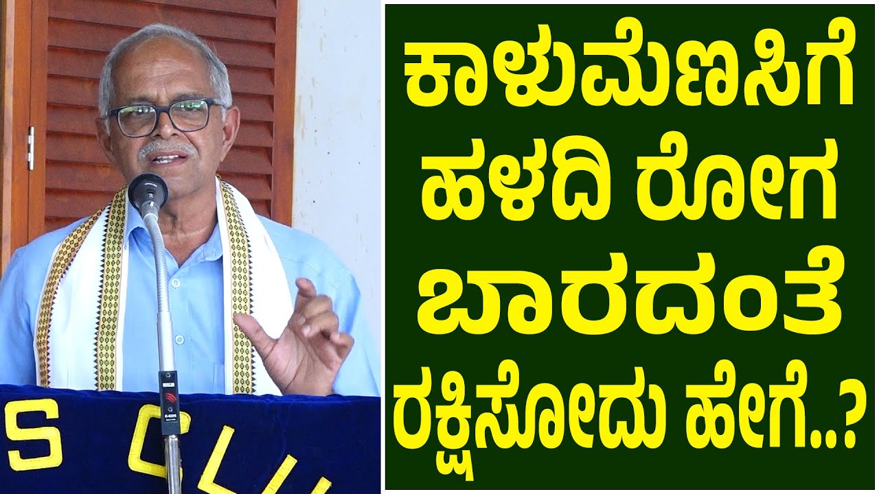 ಕಾಳುಮೆಣಸಿನ ಕೃಷಿಯ ಆರೈಕೆ ಹೇಗಿರಬೇಕು..? | 