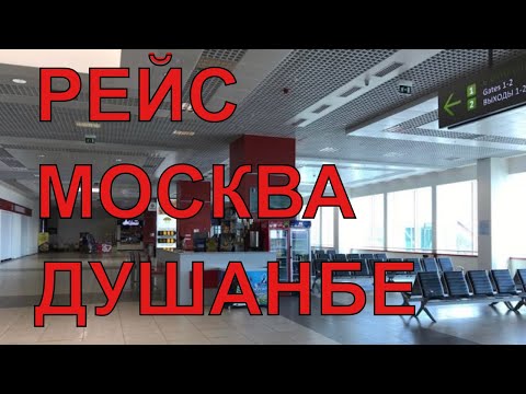 Рейс Москва - Душанбе | ЗАЯВЛЕНИЕ АВИА-ВЛАСТЕЙ