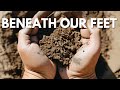 Why soil health is the key to saving the world granite borders landcare workshop