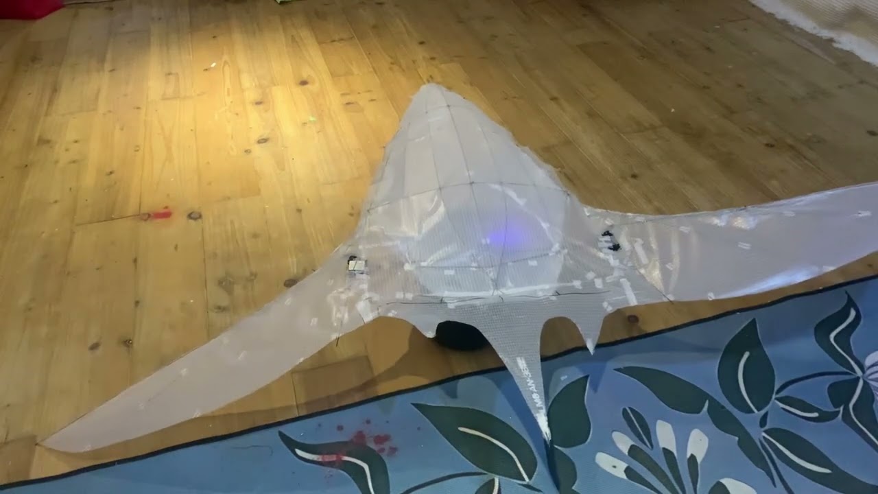 Hypervolution XH5F “Aetherwing”movement test 20.08.25