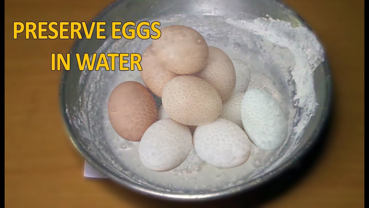 How to preserve eggs without refrigeration (Science Project Idea) - YouTube