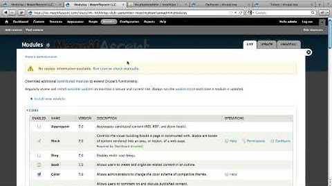 How to update URL aliases after a pattern change with Pathauto