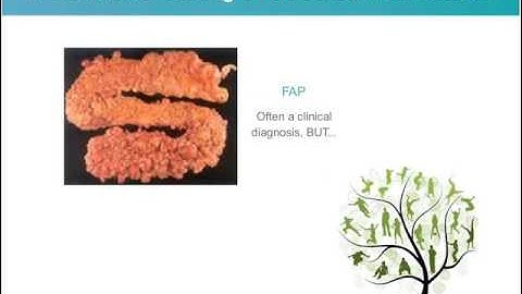 Understanding the Different Categories of Genetic Testing - Kaylene Ready