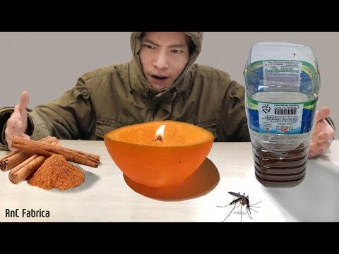 Video: ¿Cómo matar mosquitos en casa verdad?