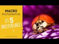 Tuto photo macro : les 5 indispensables