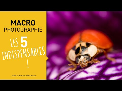 Tuto photo macro : les 5 indispensables