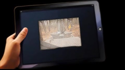 Unedited raw and real timber cutting 