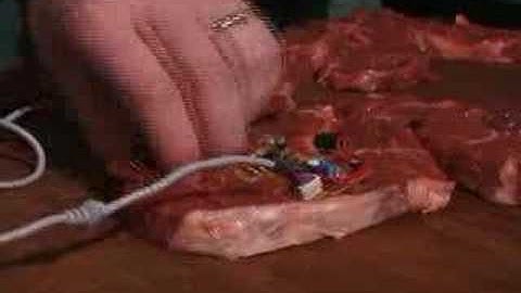 shenanigans.tv - meat