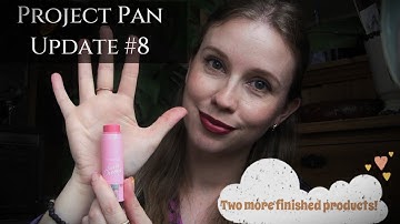 Project Pan 22 in 2022 | Update #8