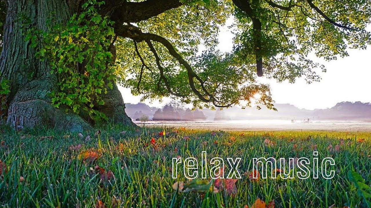 Relaxing Flute Piano Music Meditation Relax Music, Morning Relaxing