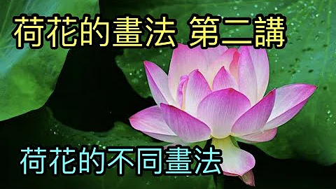 #19中国画教学第十课 第二讲 荷花的不同画法   Different painting methods of lotus   莲のさまざまな涂装方法   연꽃의 다양한 그림 방법 - 天天要闻