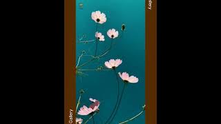 Tum Ho Mere Dil Ki (Manzil 1977) Kishore Kumar (MD: R. D. BURMAN) Yogesh (Remastered 320kbps Audio)