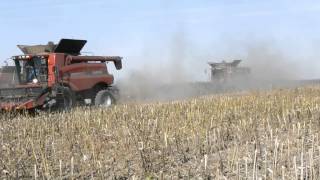 Case IH 6088 team working part 1 - HD