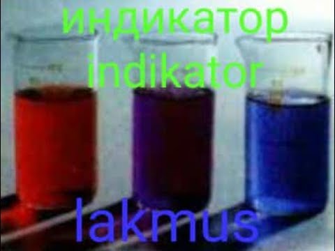 İndiqator lakmus (индикатор лакмус) - YouTube