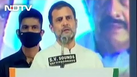 "The Man Who Ran To Kerala...": BJP Leaders Hit Out At Rahul Gandhi