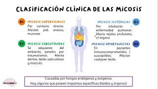 Generalidades de micología