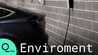 The Pandemic is Accelerating the 'Green Recovery '