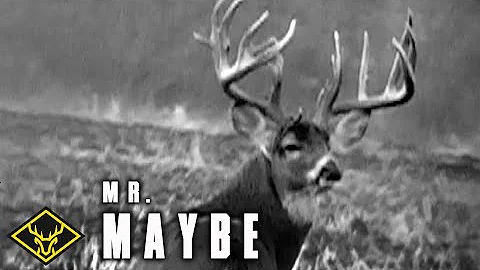 The Story of Mr. Maybe | A 228" Legend...