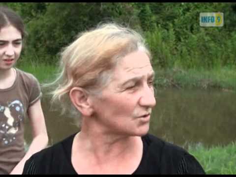 ჭაობის ამარა დარჩენილი