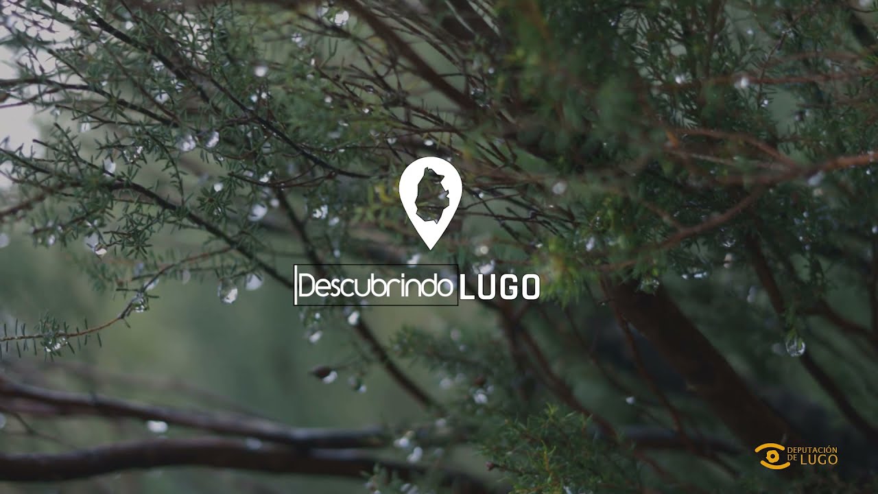 Descubrindo Lugo: Devesa da Rogueira (Folgoso do Courel)
