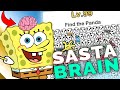I have a Sasta BRAIN