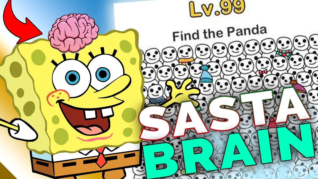 I have a Sasta BRAIN