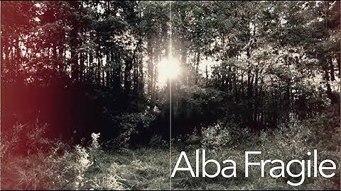 Ambient Modular :: Alba Fragile (Morphagene, Clouds)