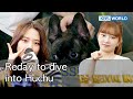 "Huchu DIVE" by the Kong Sisters [Dogs are incredible : EP.146-1] | KBS WORLD TV 221101