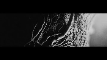 LUSTRE - The Ashes of Light (Official Album Trailer 2020)